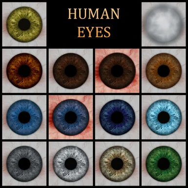Improved human and elf eyes