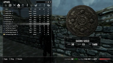 Shield in the Inventory