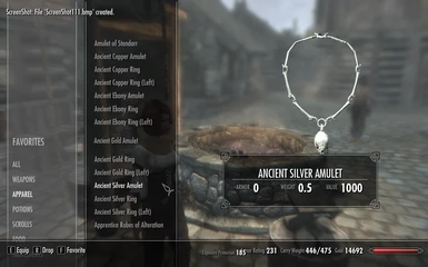 Silver Amulet