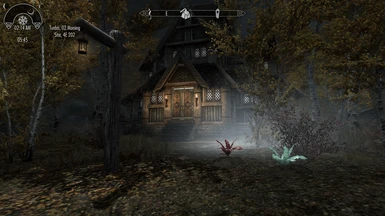 Nirnroot Manor - A Functional Home