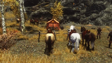horses return after dead rider