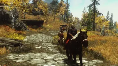 Steam Community :: Screenshot :: Skyrim's version of Gmod's T-pose on a  horse