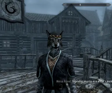 skyrim how to change other npc appearance