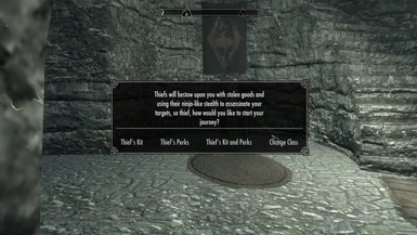 Thief Selection Message