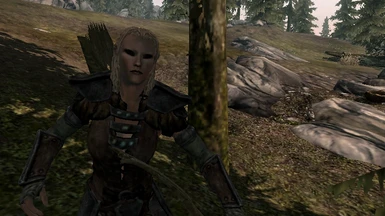 Arya - Wood Elf Follower