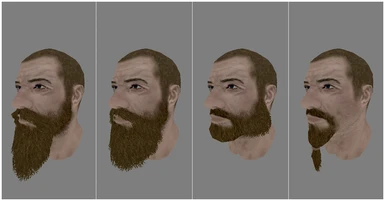 New Beard Mod