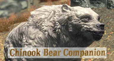 Chinook Bear Companion