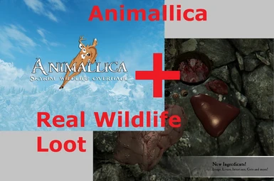 Animallica and Loot