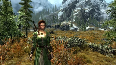 Peasant Tunic in game - green version