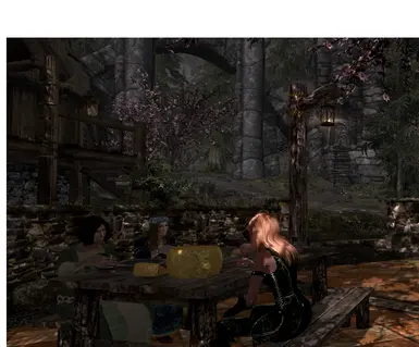 Quiet lunch with the townsfolk