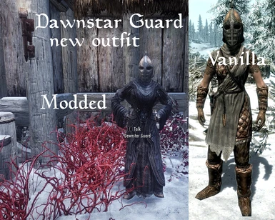 Comparison Dawnstar Guard outfit