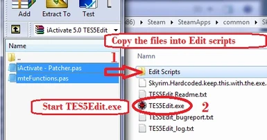 Step 1   Copy the files to Edit Scripts in TES5Edit