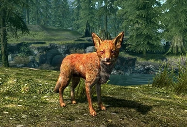 Skyrim HD Foxes