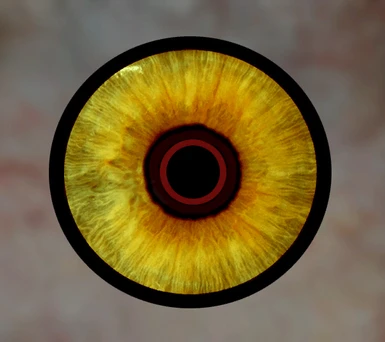 eye6