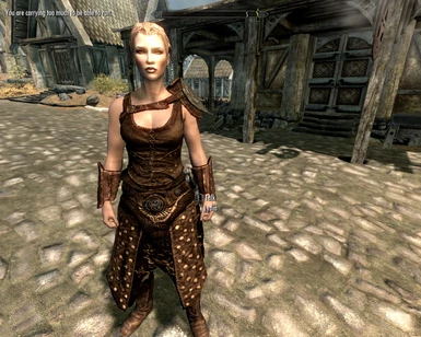 Front Image of Retextured Armor