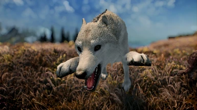 True Wolves - Fuzzy Fur