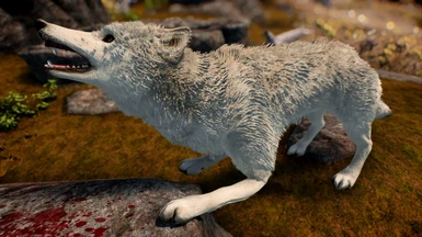 True Wolves - Fuzzy Fur - Updated Version