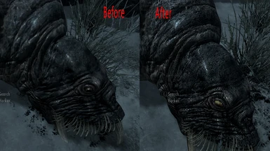 Before and After Head