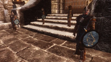with Windhelm Guards wear Stormcloak Battle Armor Patch and Open faced Guard Helmets 