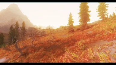 After Thanks again for this amazing enb