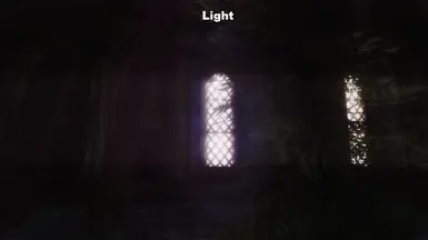 Window