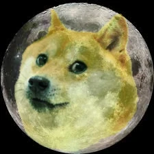 Doge moon
