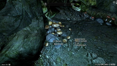 This is what the Realistic HD Mushrooms textures look like in-game _Additional information on screen provided by the moreHUD mod_