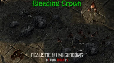 Bleeding Crown