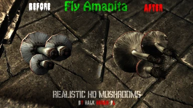 Fly Amanita