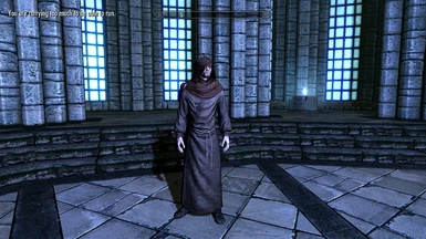 Male Expert Robes and Adept Hood