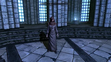 Female Expert Robes and Adept Hood