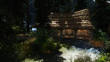 Forester's Cabin