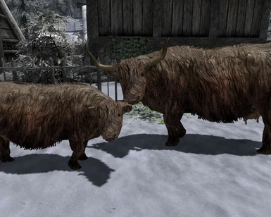 Cow and calf ingame at Riverwood