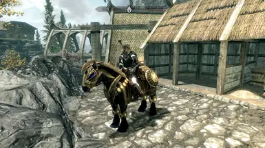 Me and my beautiful horse