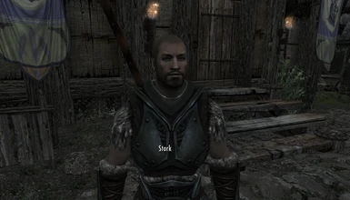 Rayya Replacer - Stork the Male Nord