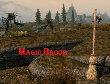 Magic Broom
