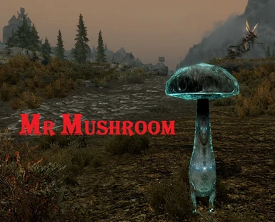 Mr Mushroom