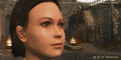 Female Modesty Skin at Skyrim Nexus - Mods and Community