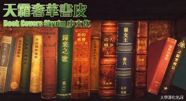 Book Covers Skyrim Chinese Edition