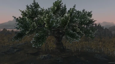 Palidell - A Treehome in the Rift