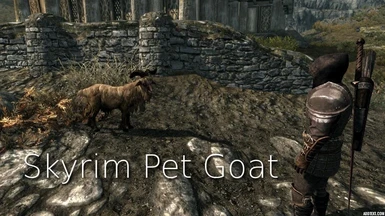 Nilly the Skyrim Goat