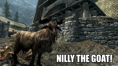 Nilly Goat Again