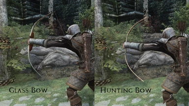 Glass bow and Hunting Bow