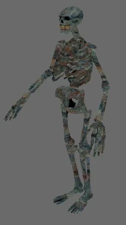 Ancient Skeleton