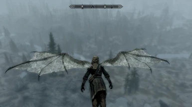 Flying above the swamps south of Windhelm