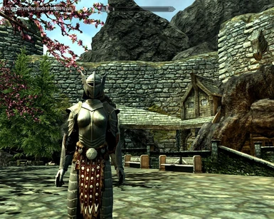Re-texture of the Steel Plate Armor Full Armor Set