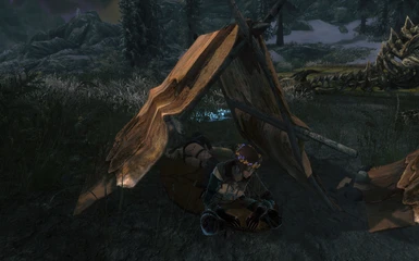 sharing a tent - place 2nd bedroll