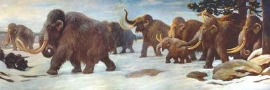 Mammoth Herd
