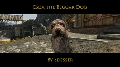 Esda the Beggar Dog