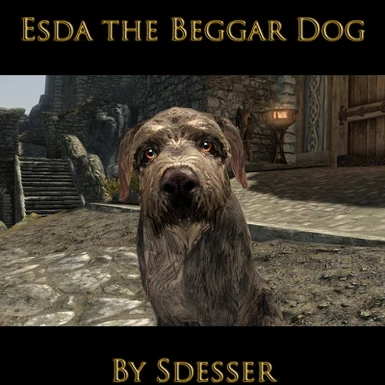 Esda the Beggar Dog Block Size